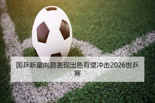 国乒新星向鹏表现出色有望冲击2026世乒赛（s16jingcai）